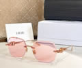 DIOR Sunglasses MODEL DSGTA49UCR SIZE 61-17-130