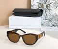 DIOR Sunglasses 30MontaigneB5U SIZE 55-19-130