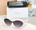 DIOR Sunglasses MODEL DSGTA33UCR SIZE 54-20-140