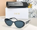 DIOR Sunglasses MODEL DSGTA33UCR SIZE 54-20-140