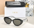 DIOR Sunglasses MODEL DSGTA33UCR SIZE 54-20-140