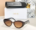 DIOR Sunglasses MODEL DSGTA33UCR SIZE 54-20-140