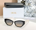 DIOR Sunglasses MODEL DSGTA37UCR SIZE 54-18-145