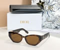 DIOR Sunglasses MODEL DSGTA37UCR SIZE 54-18-145