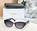 DIOR Sunglasses MODEL DSGTA37UCR SIZE 54-18-145