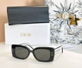 DIOR Sunglasses MODEL DSGTA34UCR SIZE 54-17-145