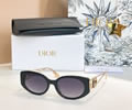 DIOR Sunglasses MODEL DSGTA53UCR SIZE 55-19-138