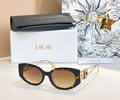 DIOR Sunglasses MODEL DSGTA53UCR SIZE 55-19-138