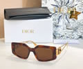 DIOR Sunglasses MODEL DSGTA52UCR SIZE 55-18-138