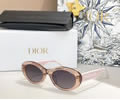 DIOR Sunglasses MODEL DiorPacific B4F SIZE 53-21-140