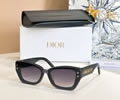 DIOR Sunglasses MODEL DSGTA32UCR SIZE 53-19-140