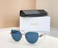 DIOR Sunglasses MODEL DSGTA48UCR SIZE 61-17-130