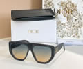 DIOR Sunglasses MODEL DSGTA10UCR SIZE 60-14-142
