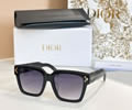 DIOR Sunglasses MODEL CD Diamond S3F SIZE 53-19-145