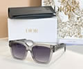DIOR Sunglasses MODEL CD Diamond S3F SIZE 53-19-145