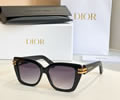 DIOR Sunglasses MODEL CDIOR S1I SIZE 53-15-145