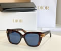DIOR Sunglasses MODEL CDIOR S1I SIZE 53-15-145