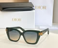 DIOR Sunglasses MODEL CDIOR S1I SIZE 53-15-145