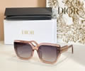 DIOR Sunglasses MODEL DiorSignature S14F SIZE 66-16-140