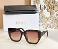 DIOR Sunglasses MODEL DiorSignature S14F SIZE 66-16-140