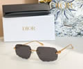 DIOR Sunglasses MODEL DSGTA56UCR SIZE 60-17-138