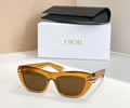 DIOR Sunglasses MODEL CDior B1U SIZE 50-18-135