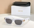 DIOR Sunglasses MODEL CDior B1U SIZE 50-18-135