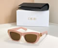 DIOR Sunglasses MODEL CDior B1U SIZE 50-18-135