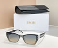 DIOR Sunglasses MODEL DSGTA22UCR SIZE 53-19-140