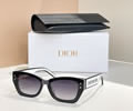 DIOR Sunglasses MODEL DSGTA22UCR SIZE 53-19-140