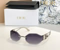 DIOR Sunglasses MODEL DSGTA60UCR SIZE 60-20-126