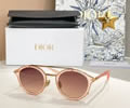 DIOR Sunglasses MODEL DiorBlackSuit R7U SIZE 50-23-145