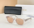 DIOR Sunglasses MODEL CDIcon S4F SIZE 53-20-145