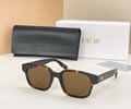 DIOR Sunglasses MODEL CDIcon S4F SIZE 53-20-145