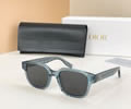 DIOR Sunglasses MODEL CDIcon S4F SIZE 53-20-145
