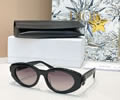DIOR Sunglasses MODEL DiorClover B1F SIZE 54-19-140