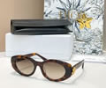 DIOR Sunglasses MODEL DiorClover B1F SIZE 54-19-140