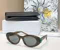 DIOR Sunglasses MODEL DiorClover B1F SIZE 54-19-140