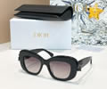 DIOR Sunglasses MODEL DiorClover S3I SIZE 51-18-145