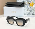DIOR Sunglasses MODEL DiorClover S3I SIZE 51-18-145