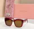 MIU MIU Sunglasses MODEL SMU 08Y SIZE 52-21-140