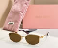 MIU MIU Sunglasses MODEL SMU A102 SIZE 56-17-140