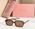 MIU MIU Sunglasses MODEL SMU 72KS SIZE 55-15-145