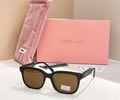 MIU MIU Sunglasses MODEL MU 02ZV SIZE 54-18-140