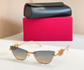 VALENTINO Sunglasses MODEL VLS1742L SIZE 60-17-145
