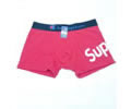 Champion men Underwear