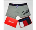 Champion men Underwear