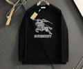 BURBERRY Lovers Hoodies