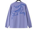 Arcteryx Lovers Long T-shirt best quality