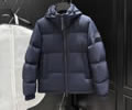 Louis Vuitton Down Mens Jacket best quality